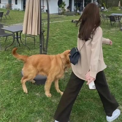 镇魂街之热血再燃